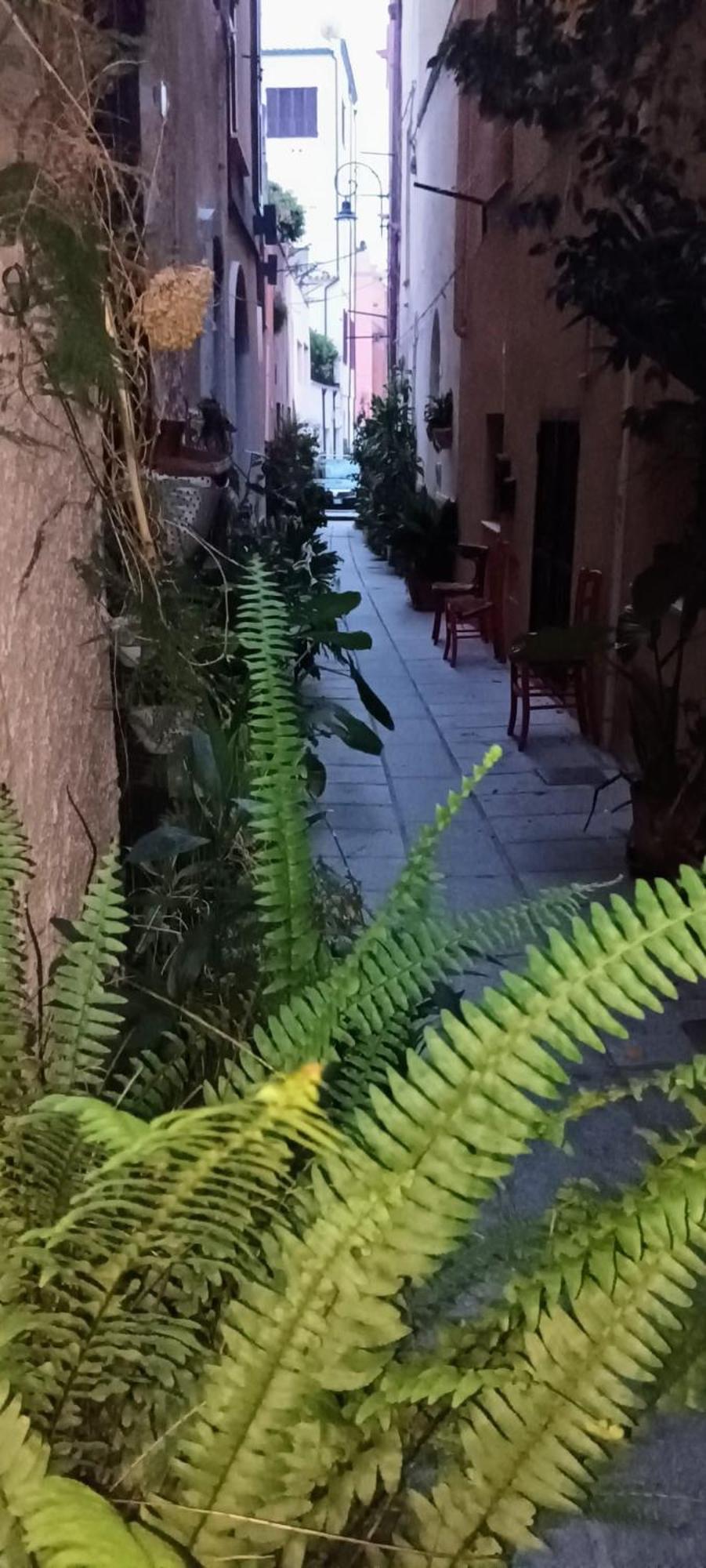 Casa Vacanze Nel Cuore Di Cagliari Exterior foto